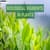 Biological Pigments in Plants: Definition, Types and Examples